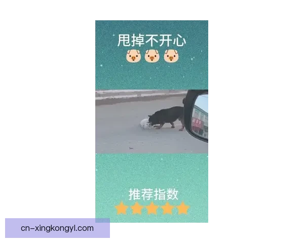 可怜维罗纳为何沉沦到如此境地